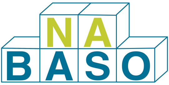 Nabaso Logo