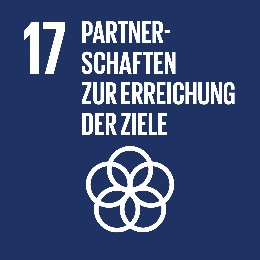 SDG: Partnerschaften zur Erreichung der Ziele