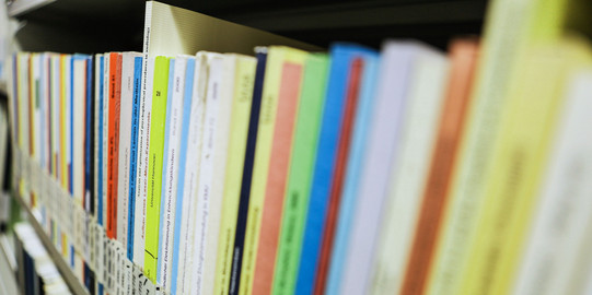 Bücher mit der Aufschrift Dissertation auf dem Buchrücken im Bücherregal der Bibliothek