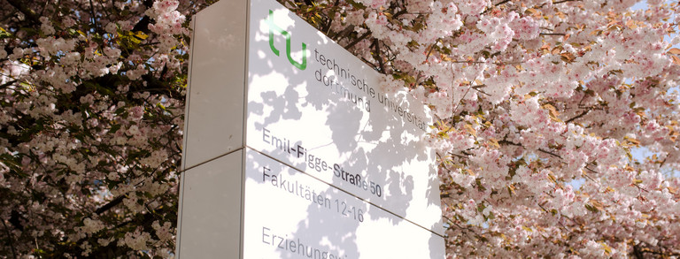 Eine TU Informationssäule umgeben von einem blühenden Kirschblütenbaum. 