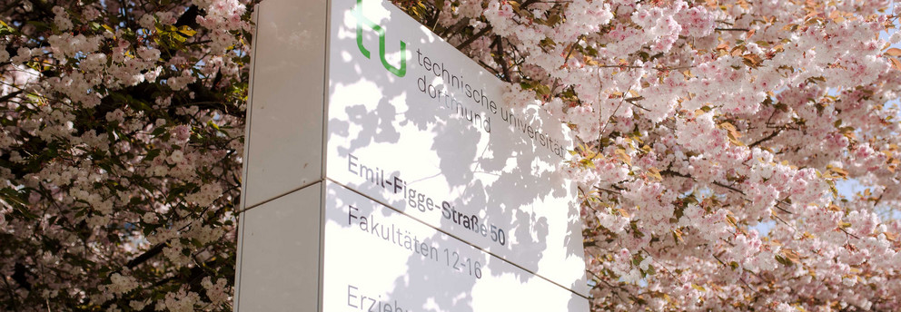Eine TU Informationssäule umgeben von einem blühenden Kirschblütenbaum. 