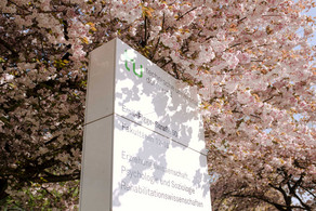 Eine TU Informationssäule umgeben von einem blühenden Kirschblütenbaum. 